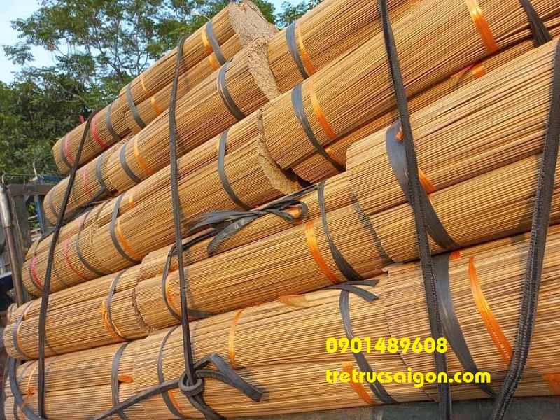mua tre cắm hoa sáp 3