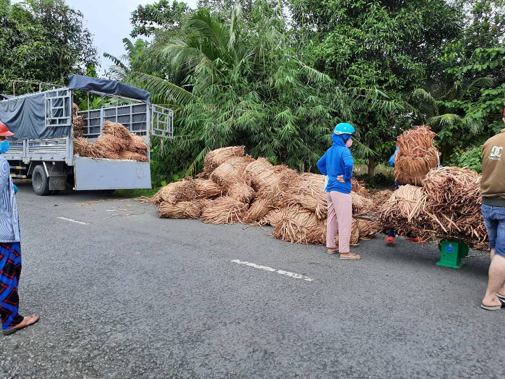 nguyên liệu lục bình 1